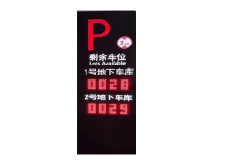 λ