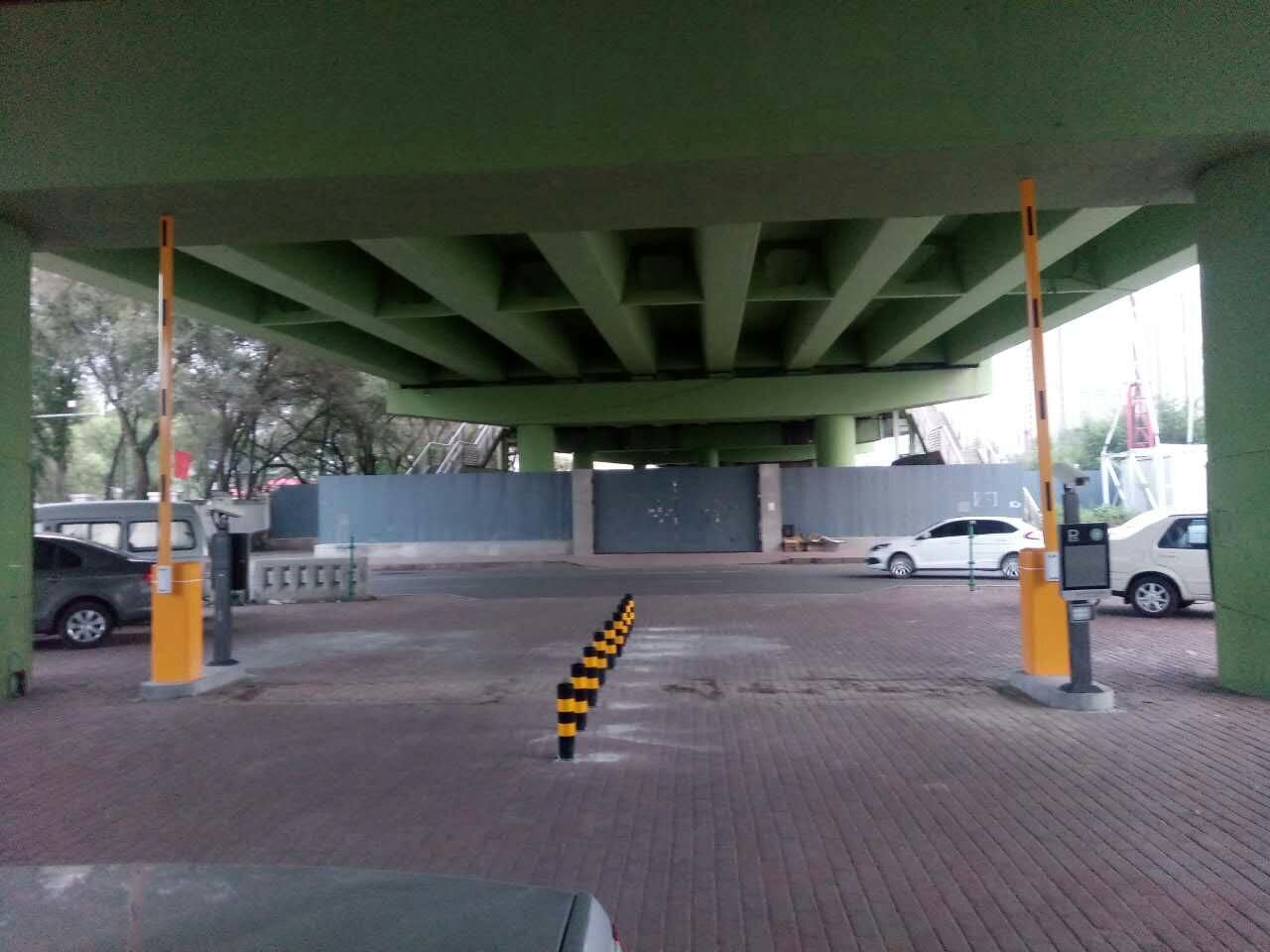 ʶ