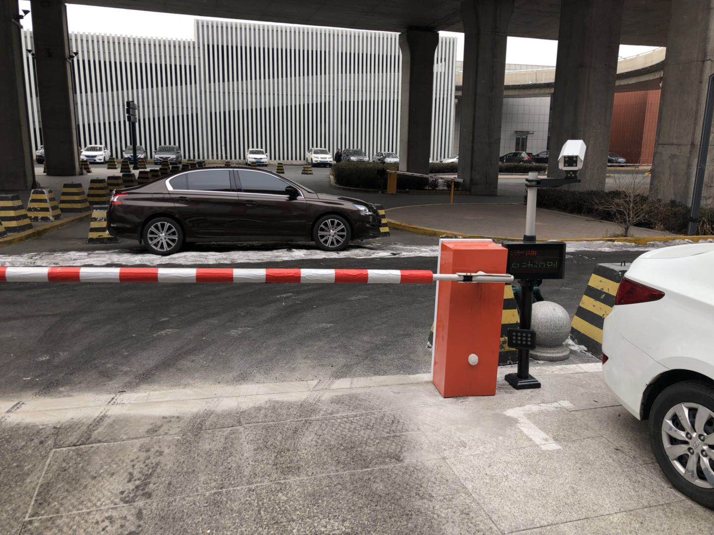 ʶϵͳ